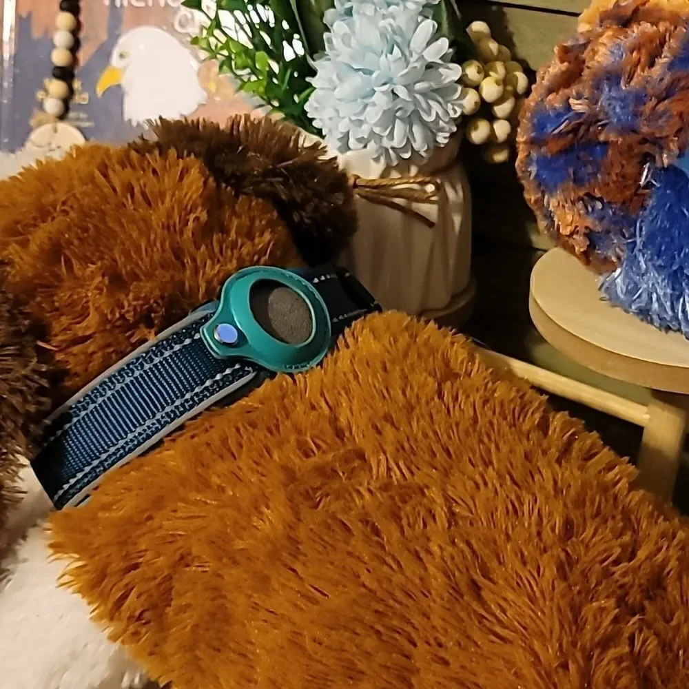 Airtag dog collar size M